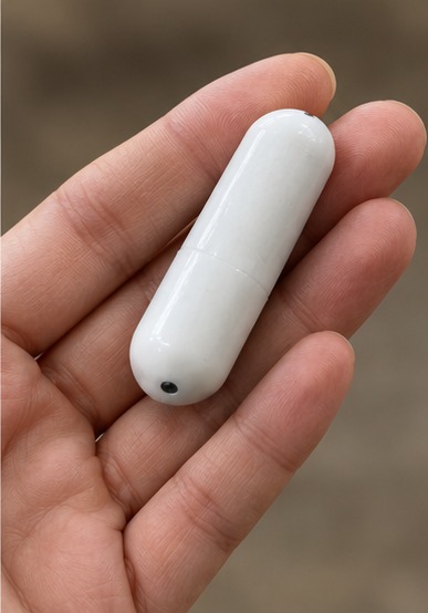 Bio-capsule held in a hand, real-world size reference